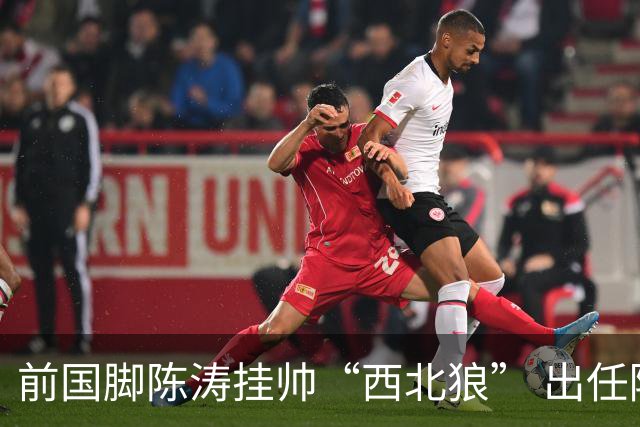 前国脚陈涛挂帅“西北狼” 出任陕西联合一线队主教练