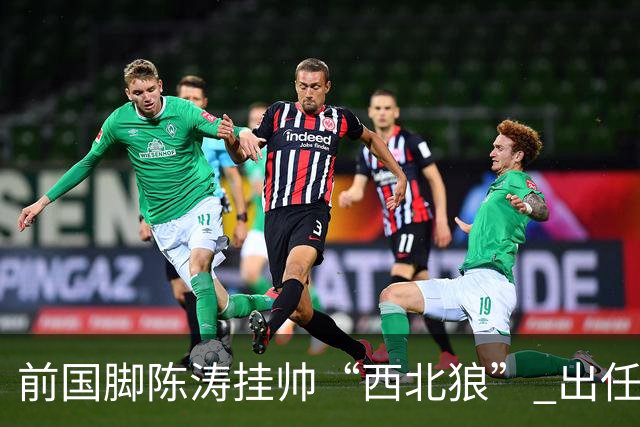 前国脚陈涛挂帅“西北狼” 出任陕西联合一线队主教练